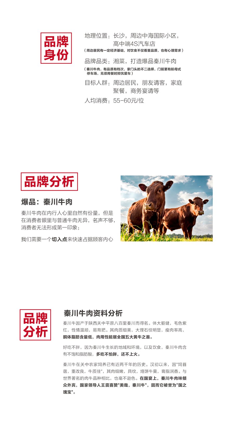 秦川牛肉品牌策划